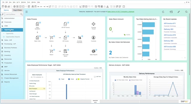 SAP for Small Business: SAP Business One Software