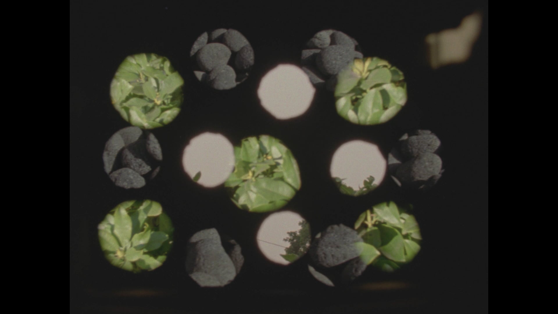 Light Coins