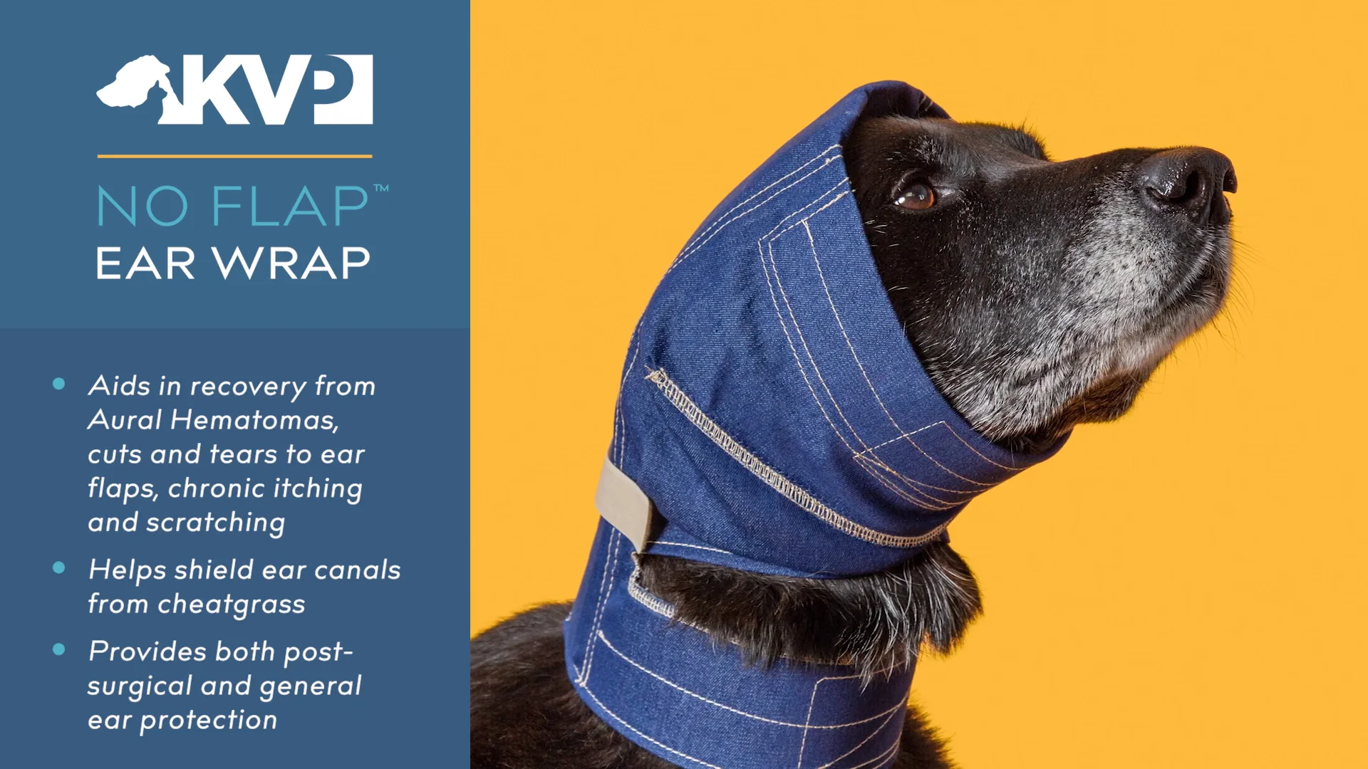 No flap best sale ear wrap petsmart