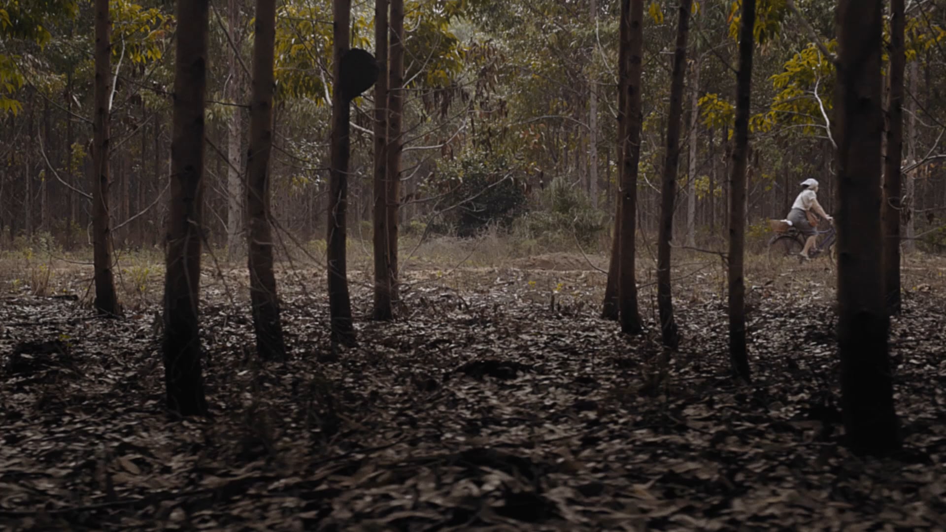 Pão de Rosas - Teaser 3m