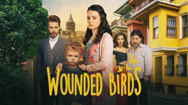 Wounded Birds teaser