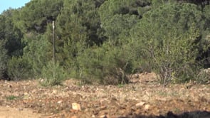 Recuperació de les Sorreres de Can Català i el Camí dels termes