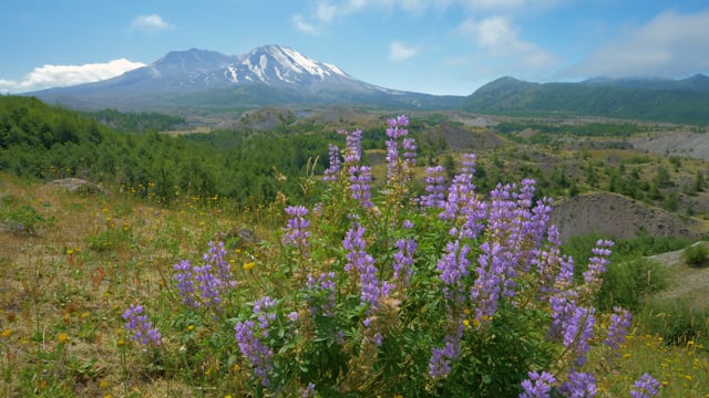 Summer day on Mt. St. Helens