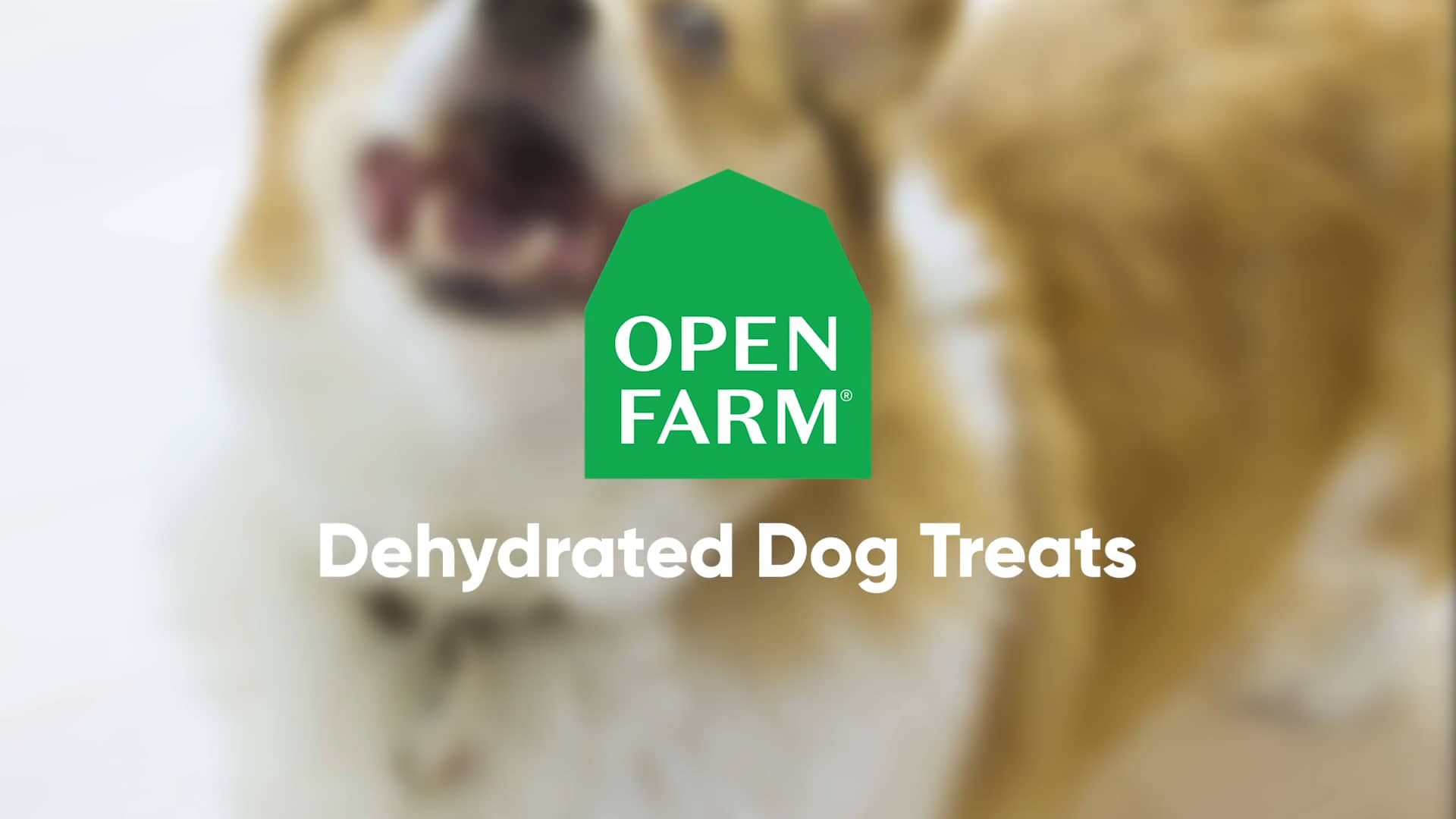 Open Farm Treats on Vimeo