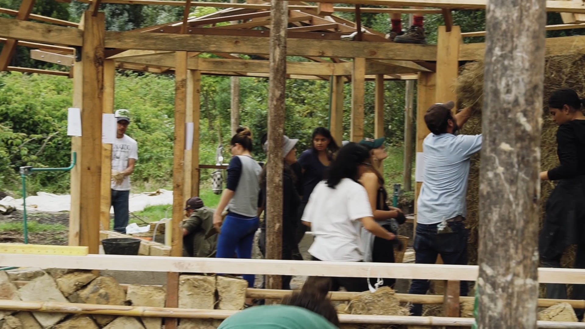 BIOCONSTRUCCIÓN ORGANIZMO