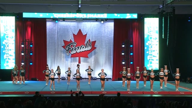 Cheer Sport  White Tip Sharks - Canadian Finals Level 4.2