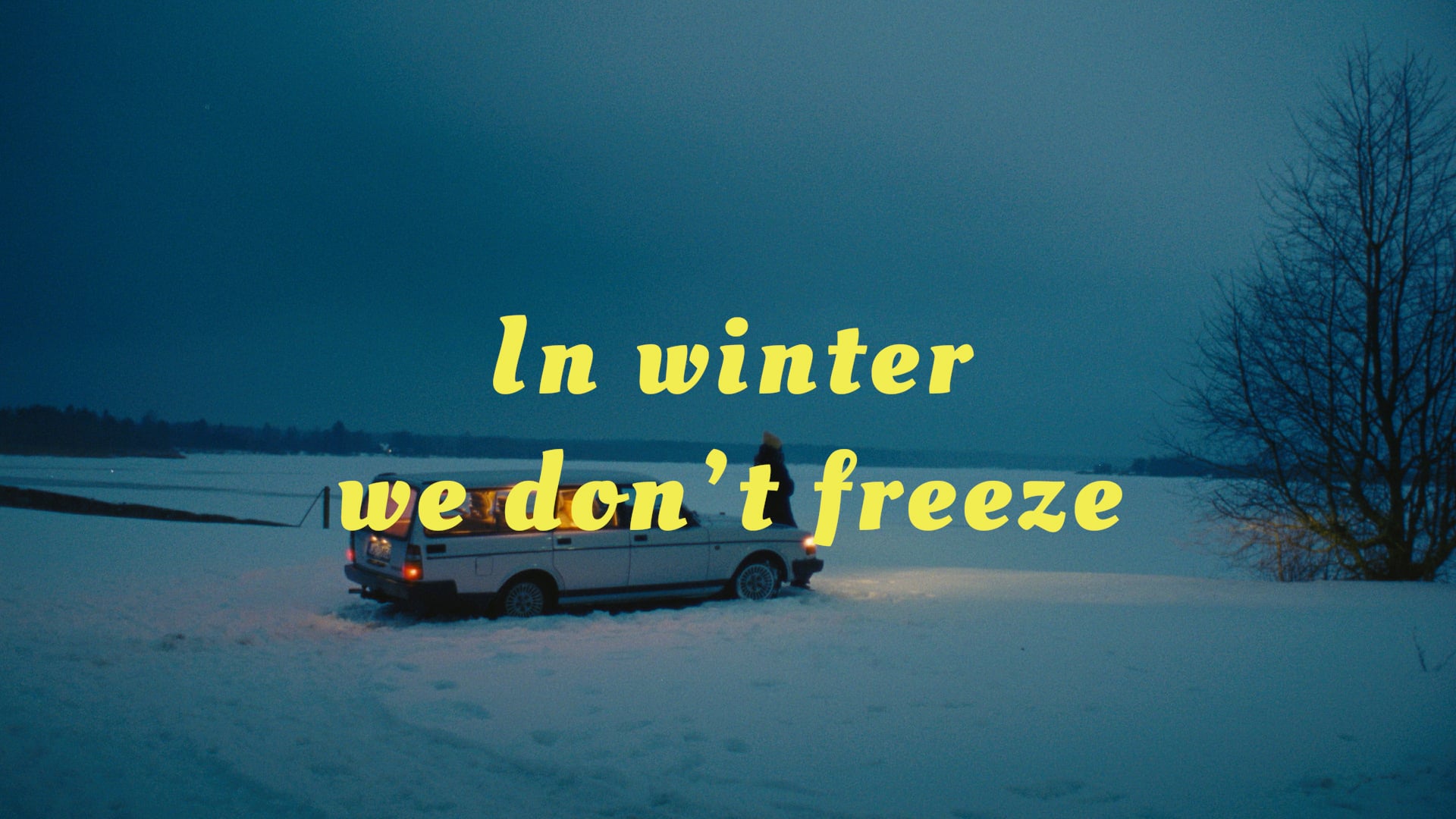 IN WINTER WE DON'T FREEZE