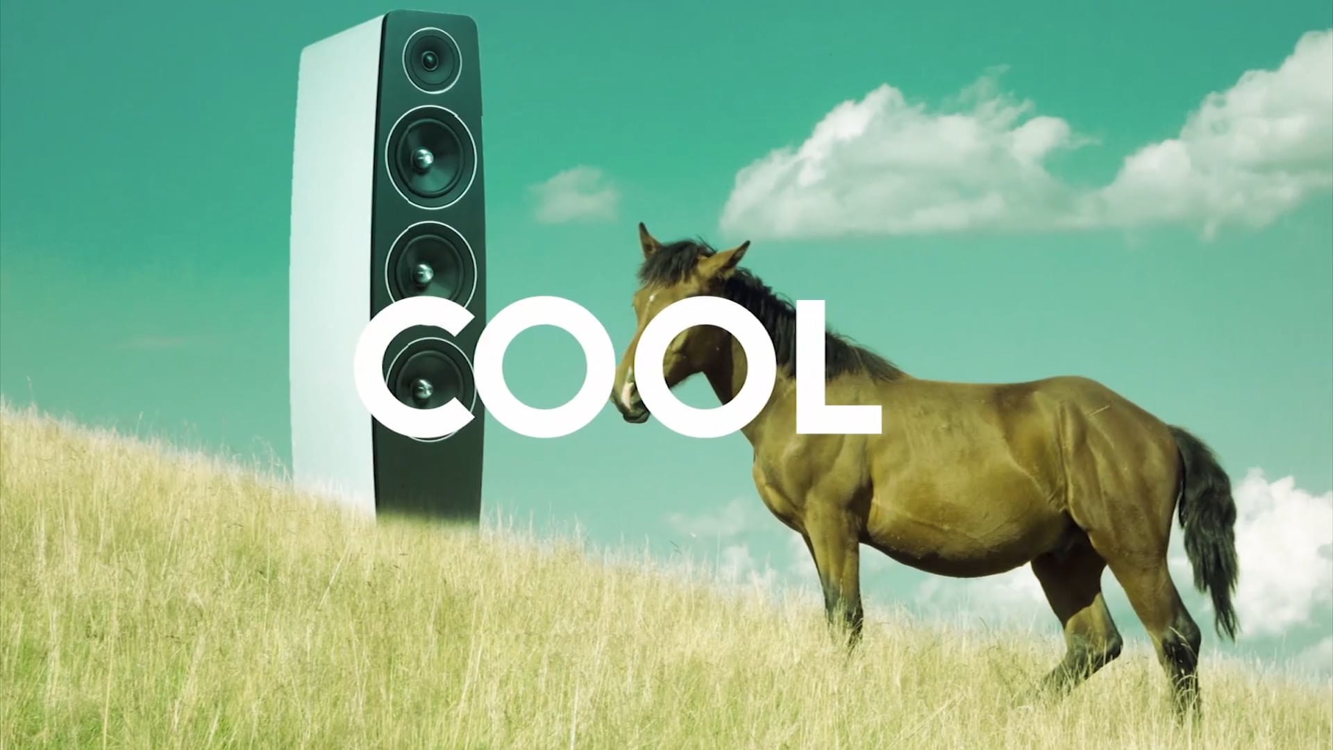 RADIO TRANSILVANIA DC