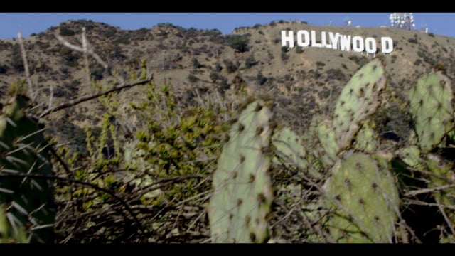 LA Hackumentary_EY