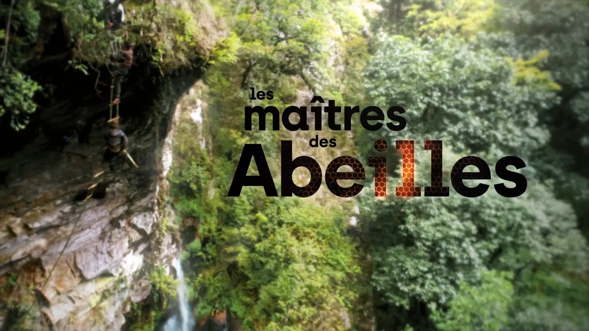 EXTRAITS DE QUATRE 26'POUR LA SÉRIE ARTE "LES MAÎTRES DES ABEILLES"