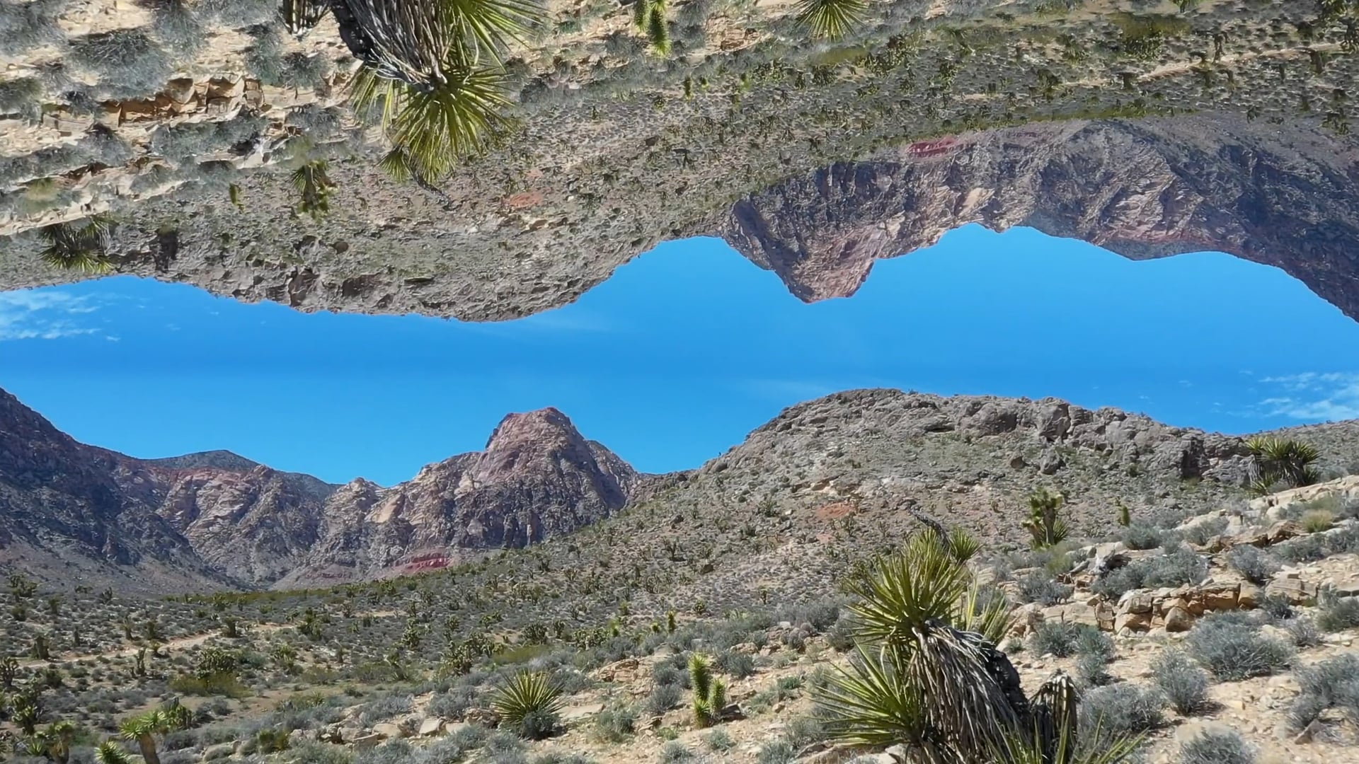Vegas Desert Test