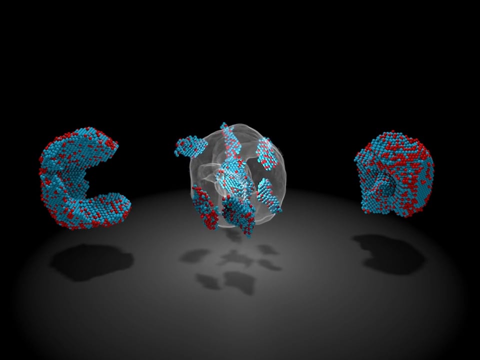 atom-dissected on Vimeo