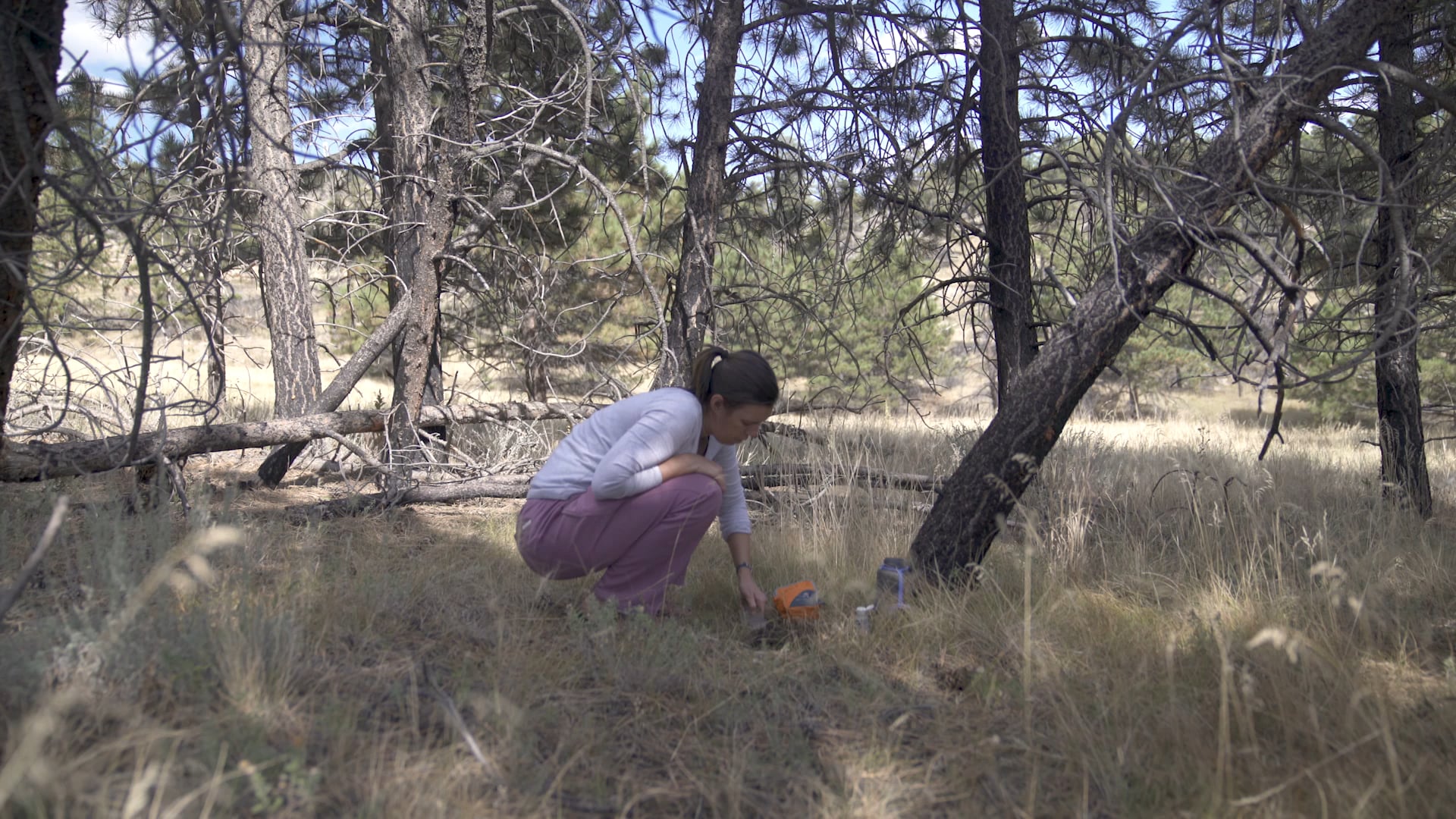 Deuter & WW Backcountry Hacks Pooping on Vimeo