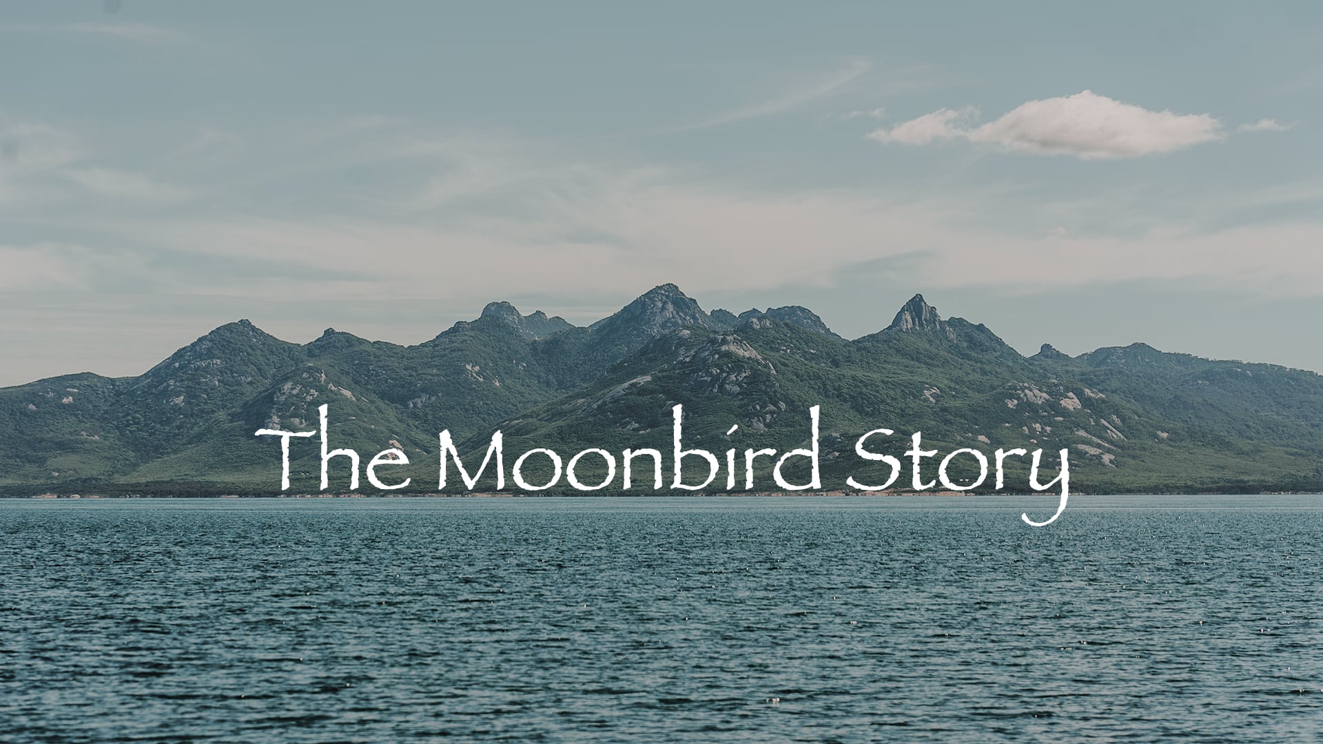 The Moonbird Story