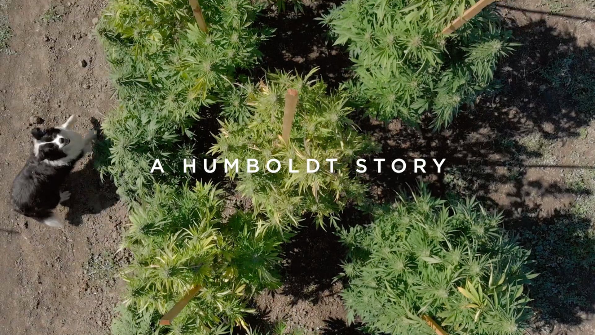 A Humboldt Story - Documentary