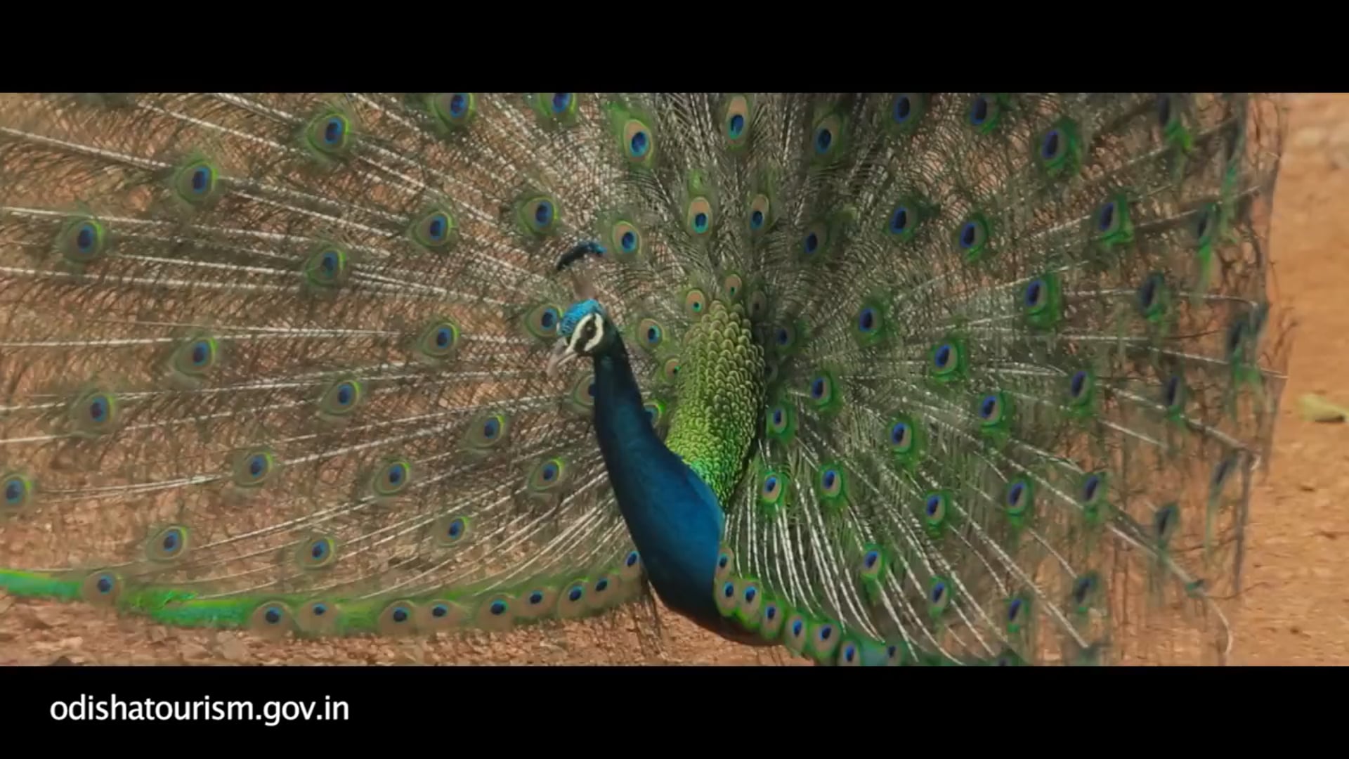 Odisha Tourism - Nature Film