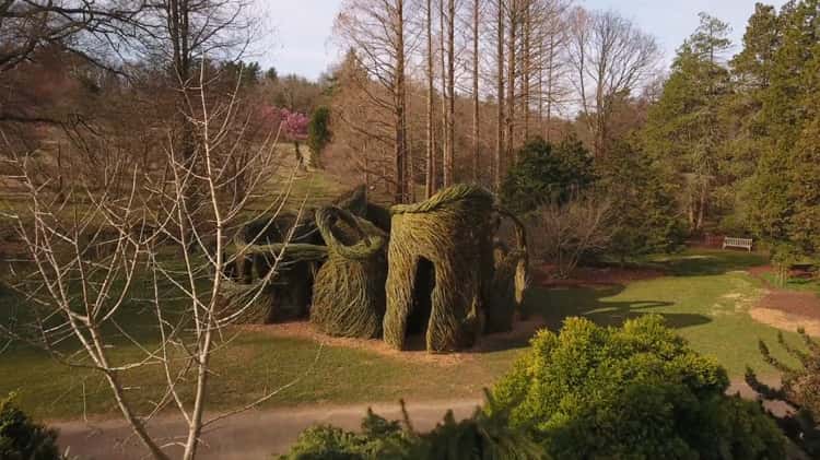 Loop de Loop by Patrick Dougherty - Morris Arboretum on Vimeo