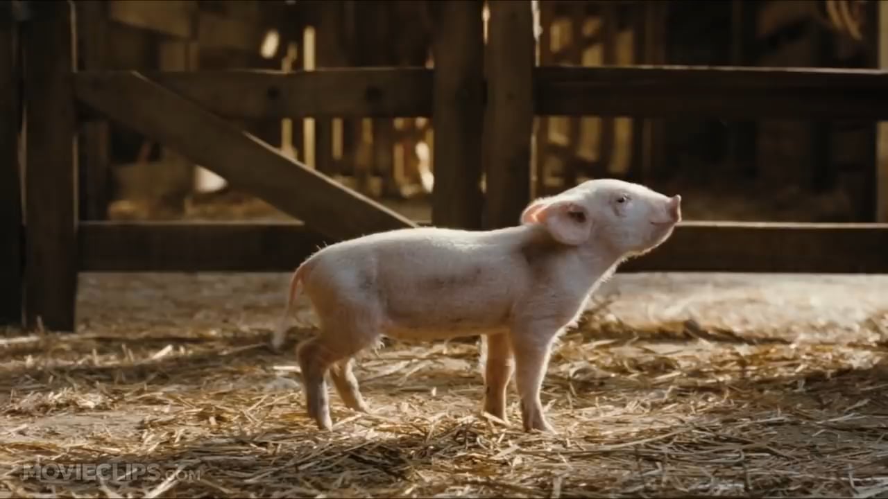 Charlottes Web (310) Movie CLIP - Wilbur Meets Charlotte (2006) HD.mp4 ...