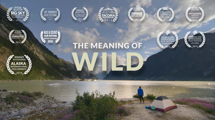 What does WILD mean? - WILD Definitions