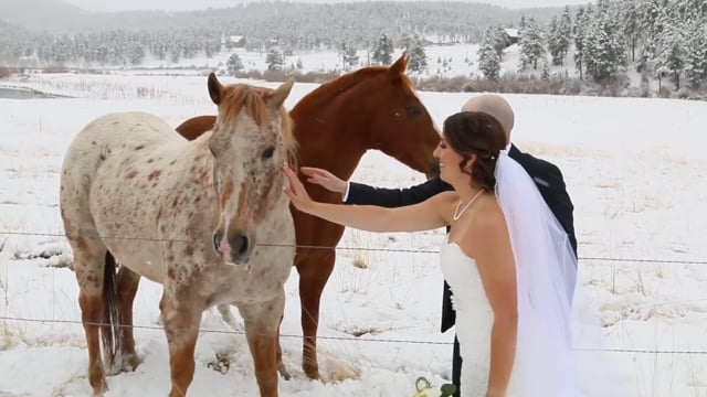 Amanda+Daniel Wedding Highlights - Deer Creek Valley Ranch, Conifer CO - 1min Teaser