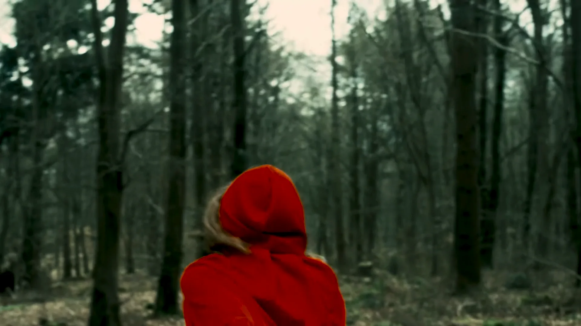 LITTLE RED on Vimeo