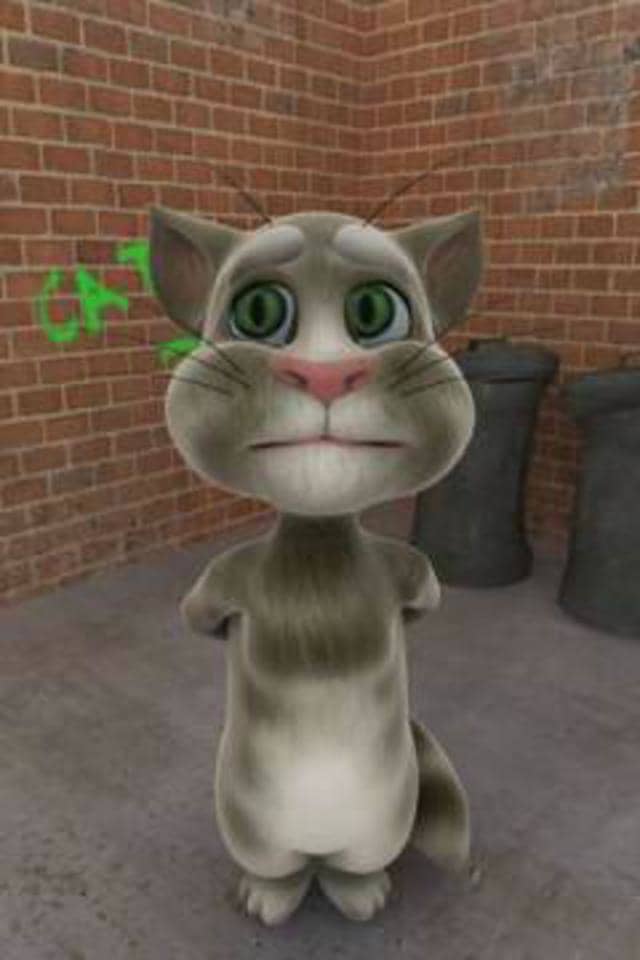 Talking Tom video on Vimeo