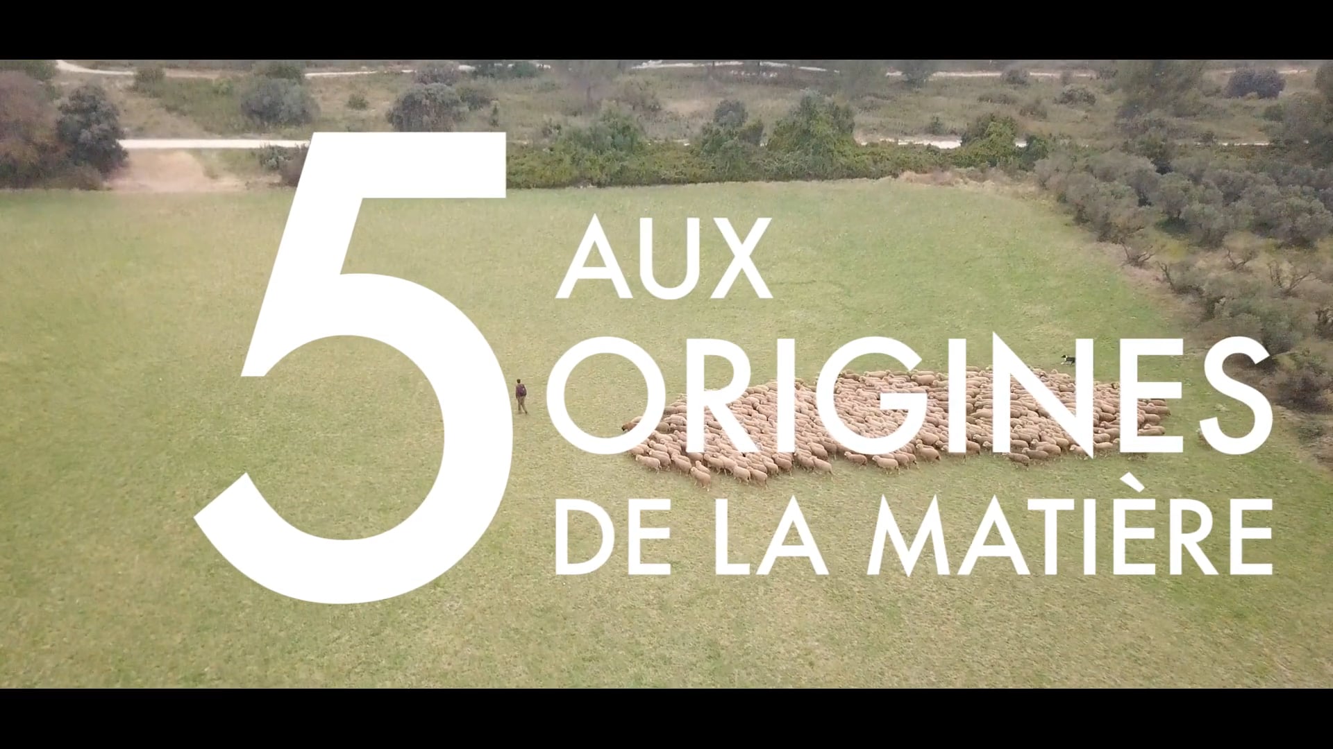 Les origines de la matière • Épisode 5 - Tricolor