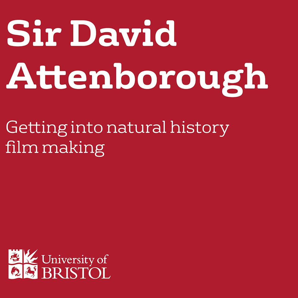 1-1 - SIR DAVID - Filmmaking (Film 1) CLEAN