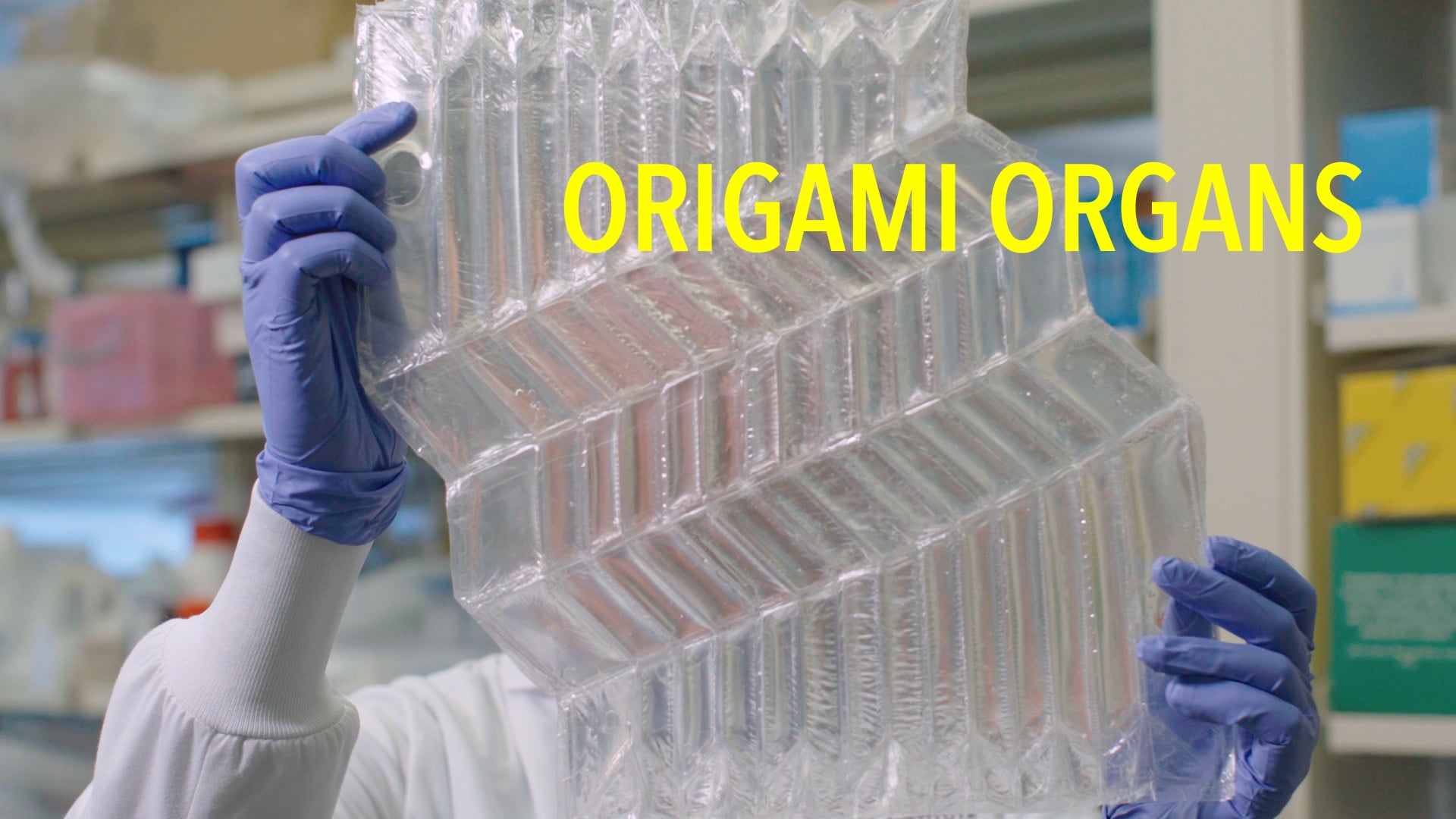 Origami Organs