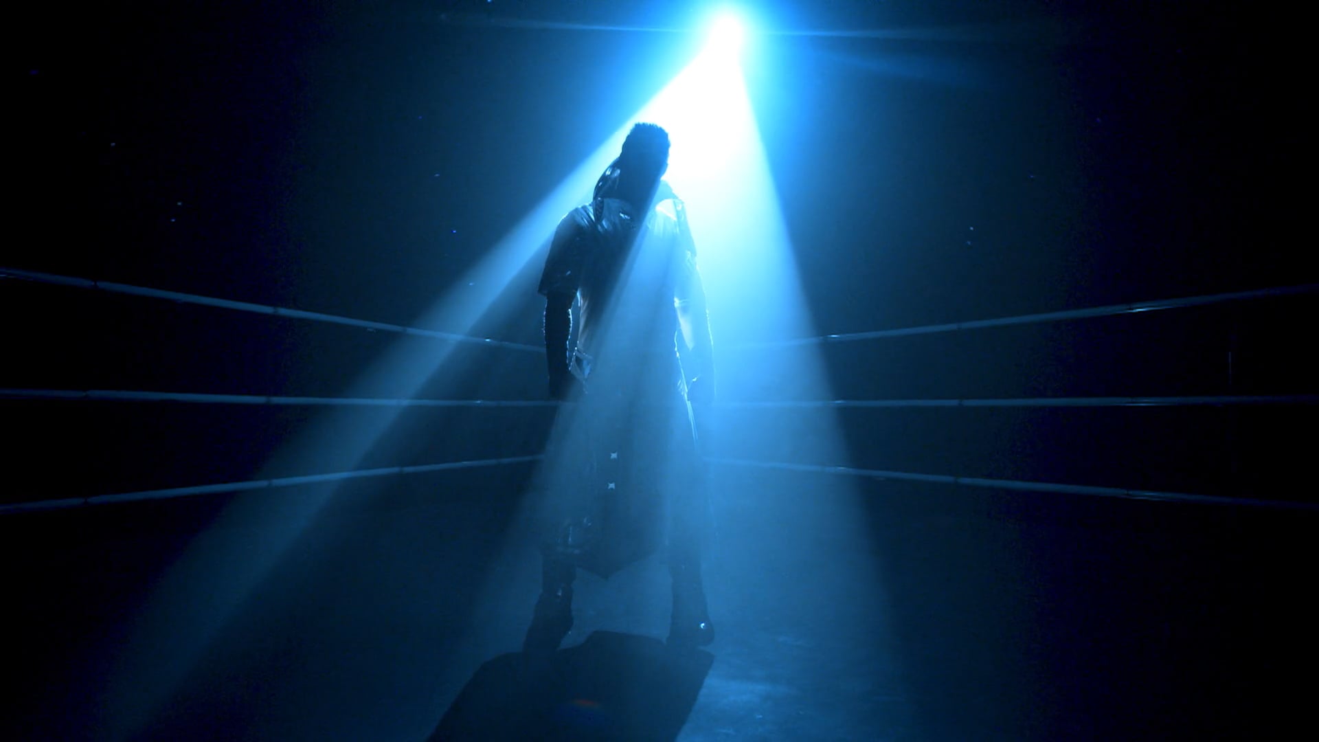 WWE Immortals