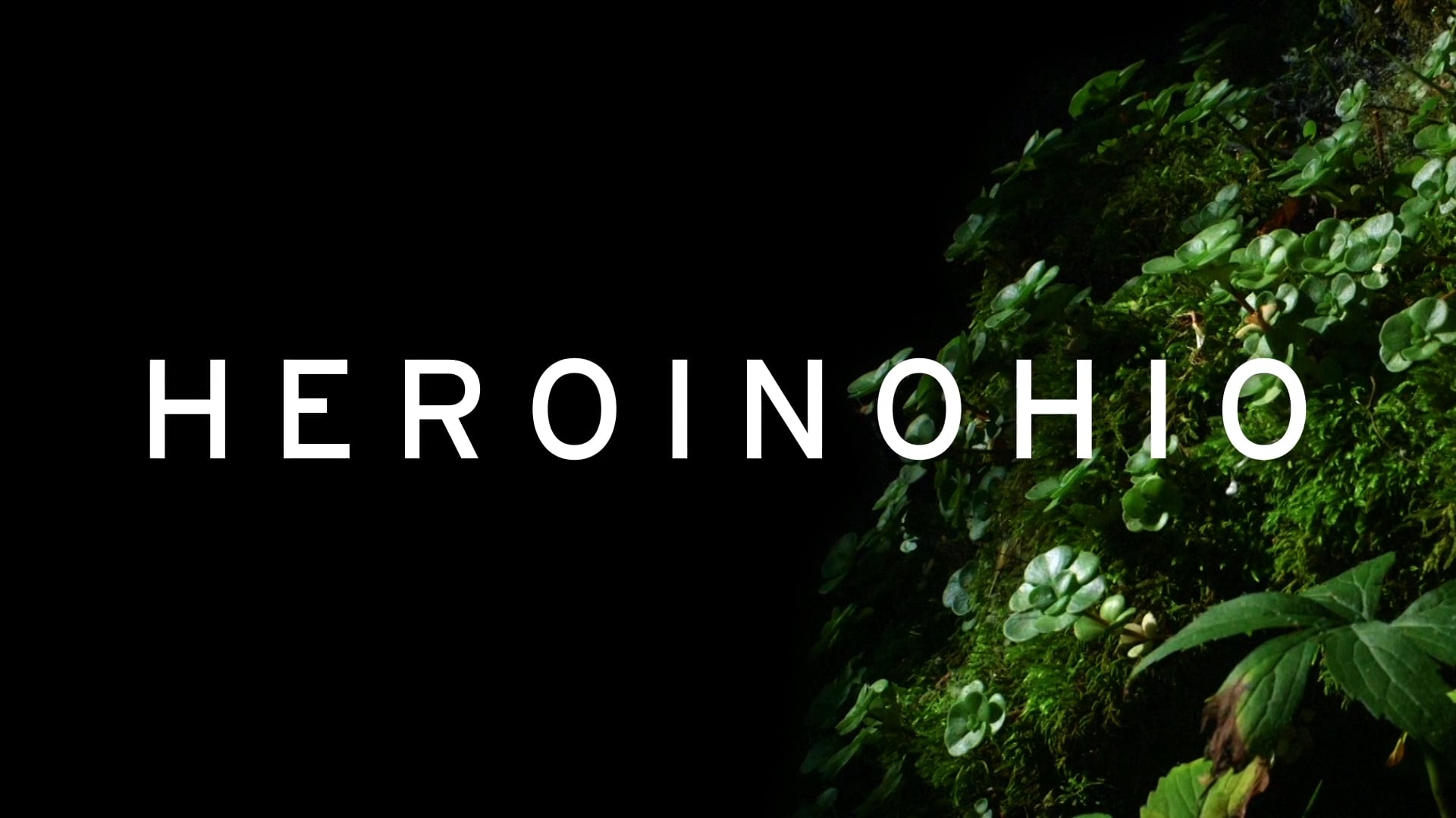 HEROINOHIO: Trailer