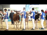 Jóvenes de 16 a 21 años