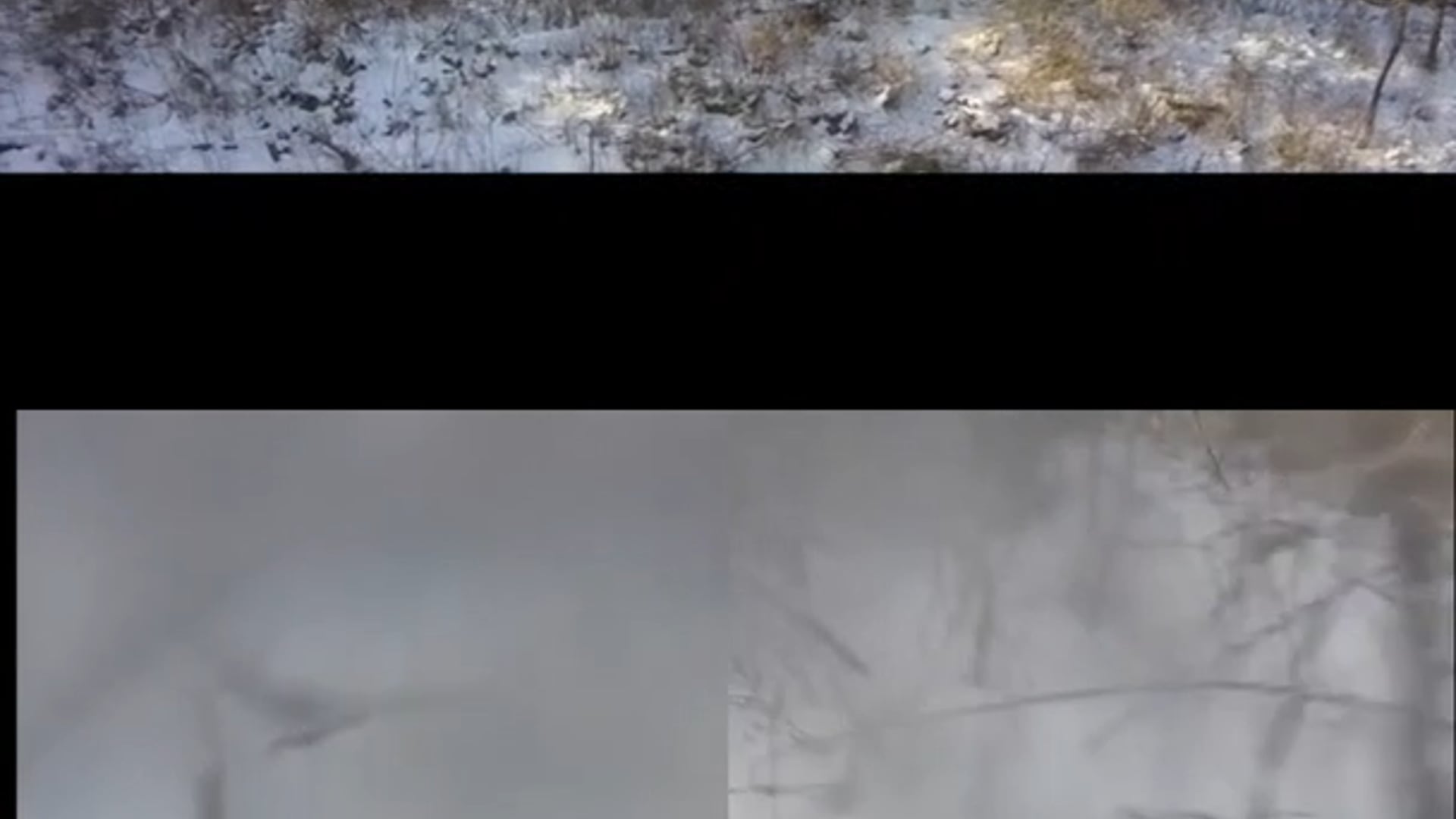 Phillips Farm 02/09/19 (short)