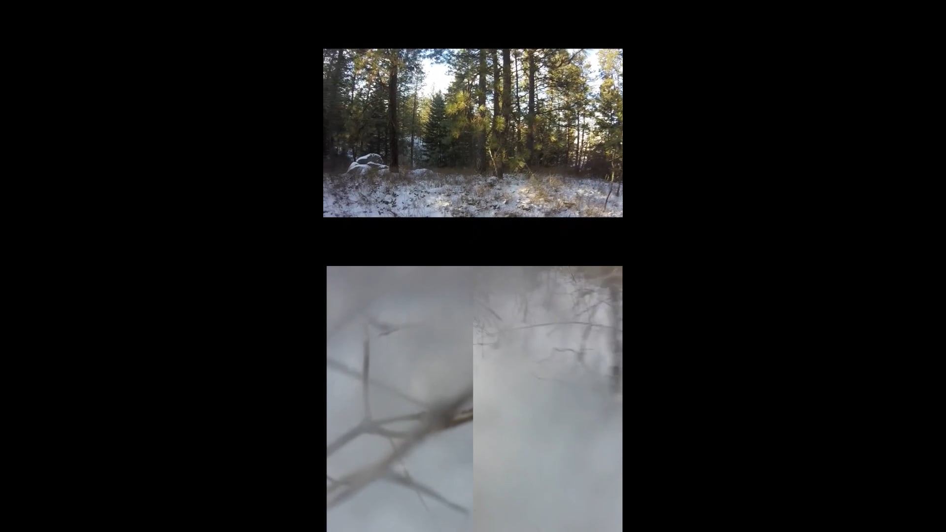 Phillips Farm 02/09/19 (short)