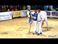 Campeonatos de vacas y gran final