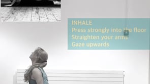 SURYA NAMASKAR C - CLASSICAL SUN SALUTATION 