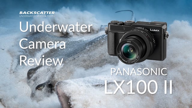 Panasonic LX100 II Underwater Review - - Backscatter