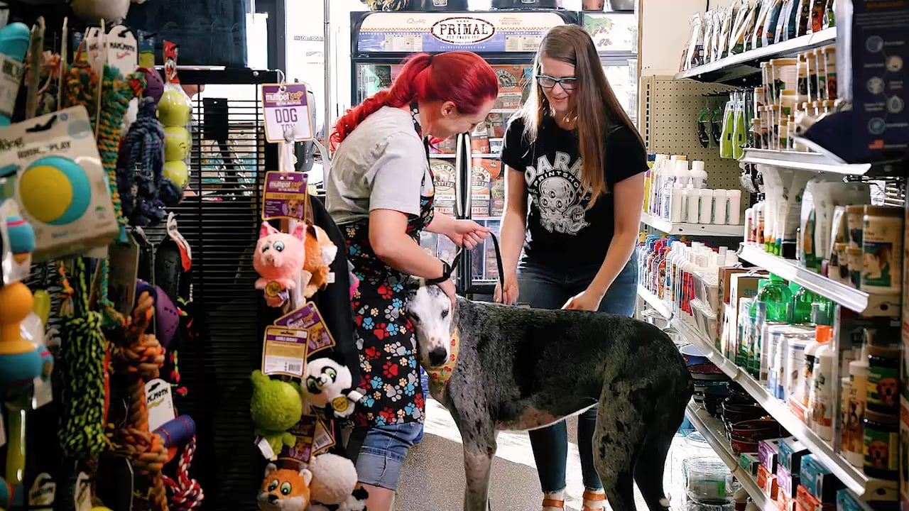 TrueHealth Groomer
