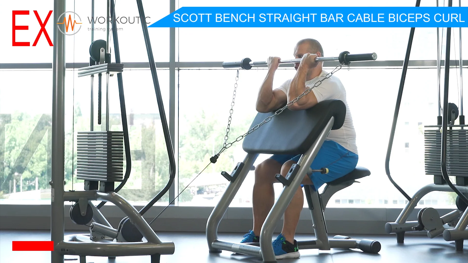 Scott bench biceps online curls