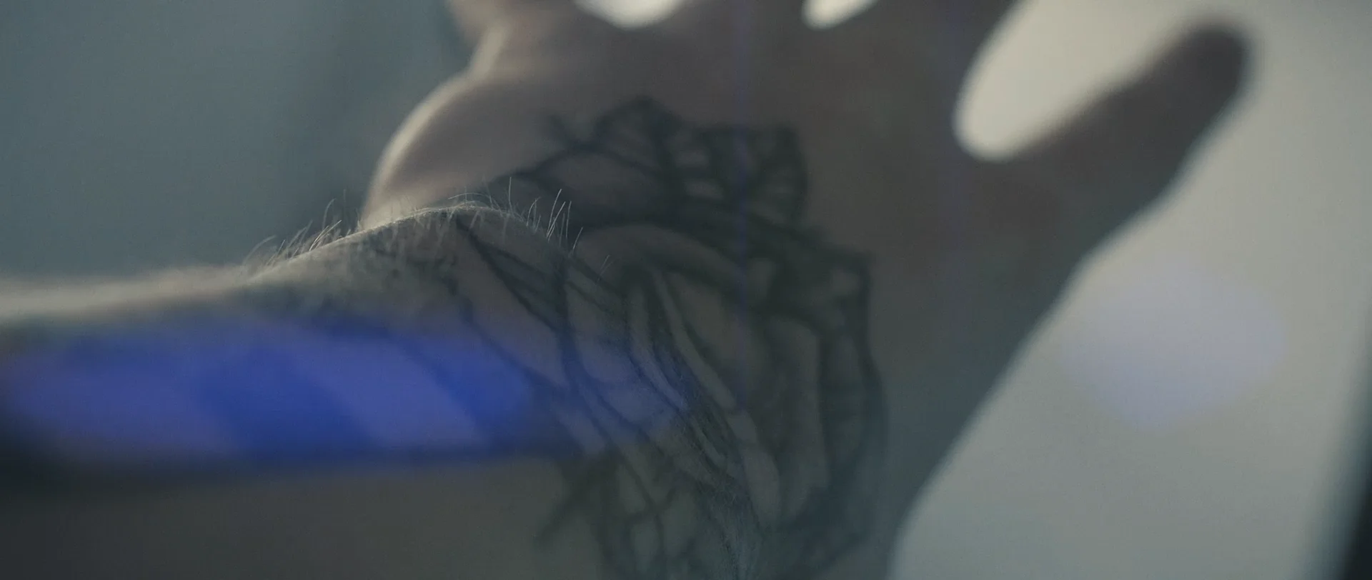 Hand on Vimeo