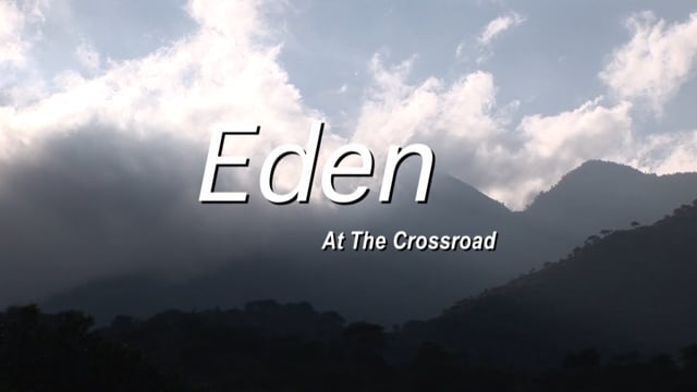 Anne eden stream