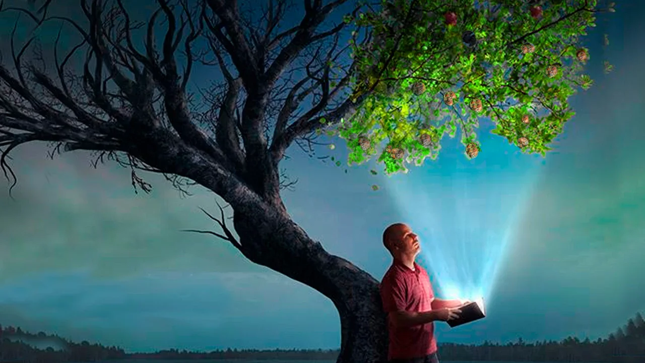Your tree. Духовный рост Библия. Вырасти духовно. Tree Bad