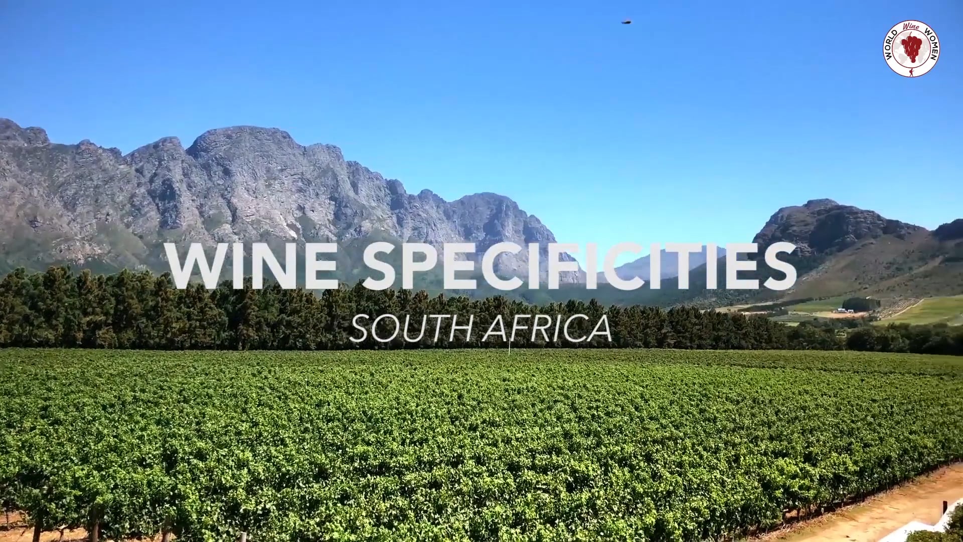Wine Specificities - South Africa