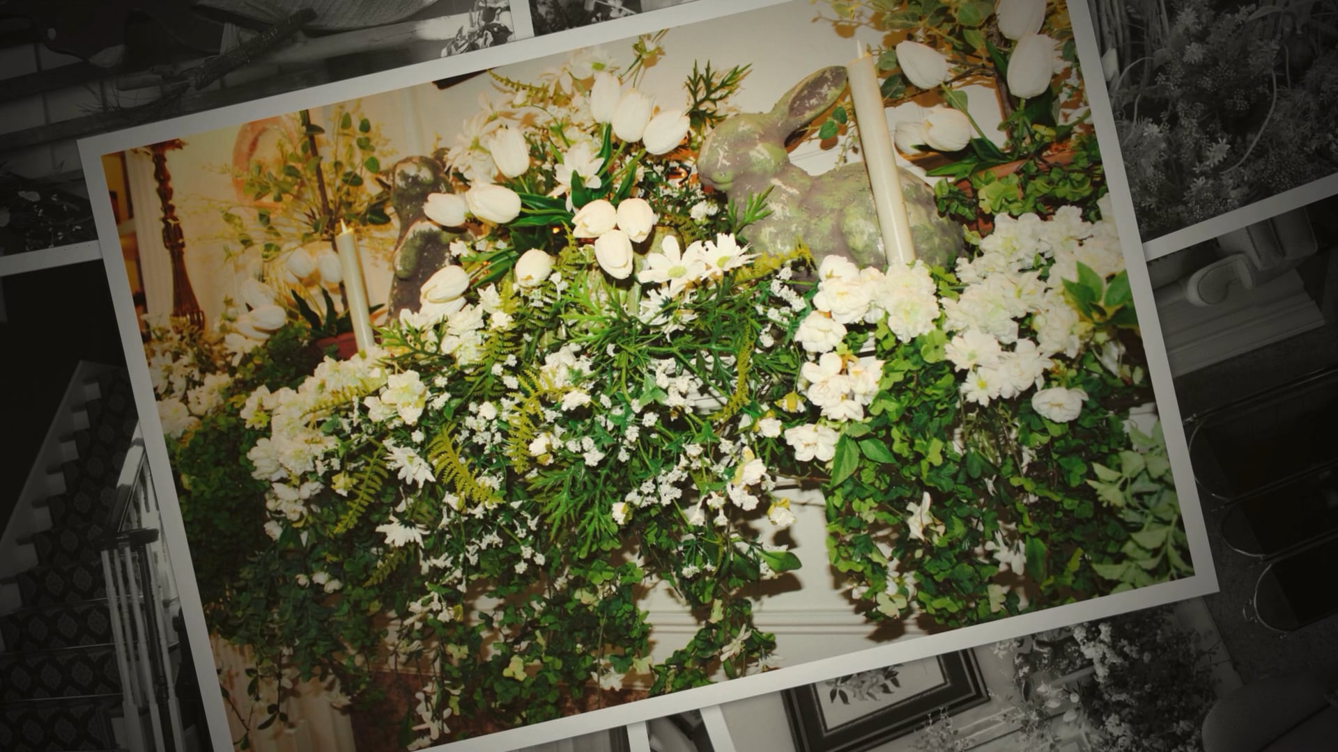 Spring on Vimeo