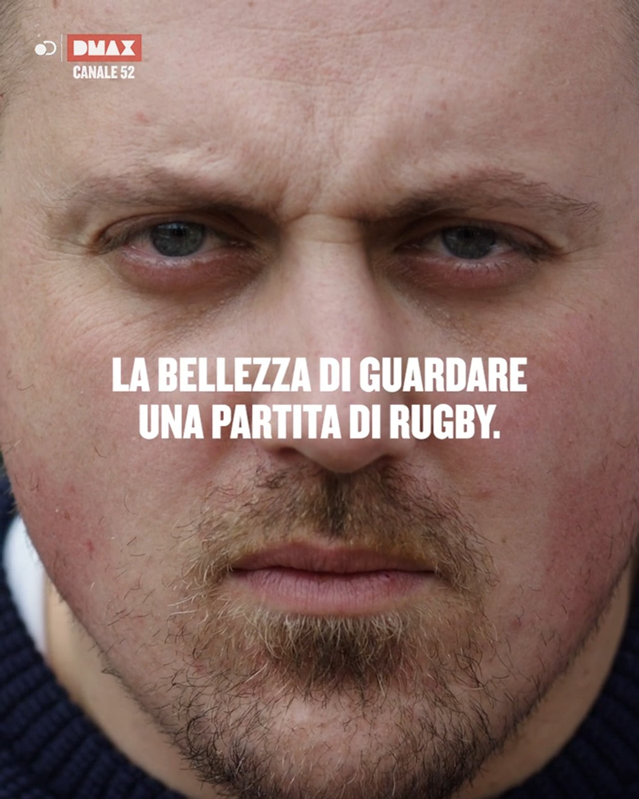Divani