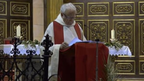 Bon temps i gent a la benedicció del Diumenge de Rams 