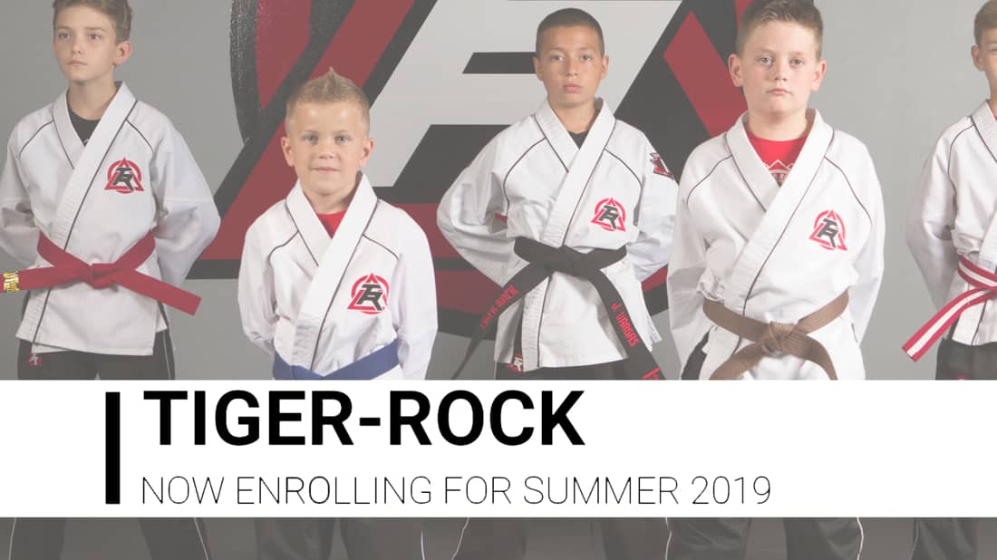 tiger rock martial arts reviews