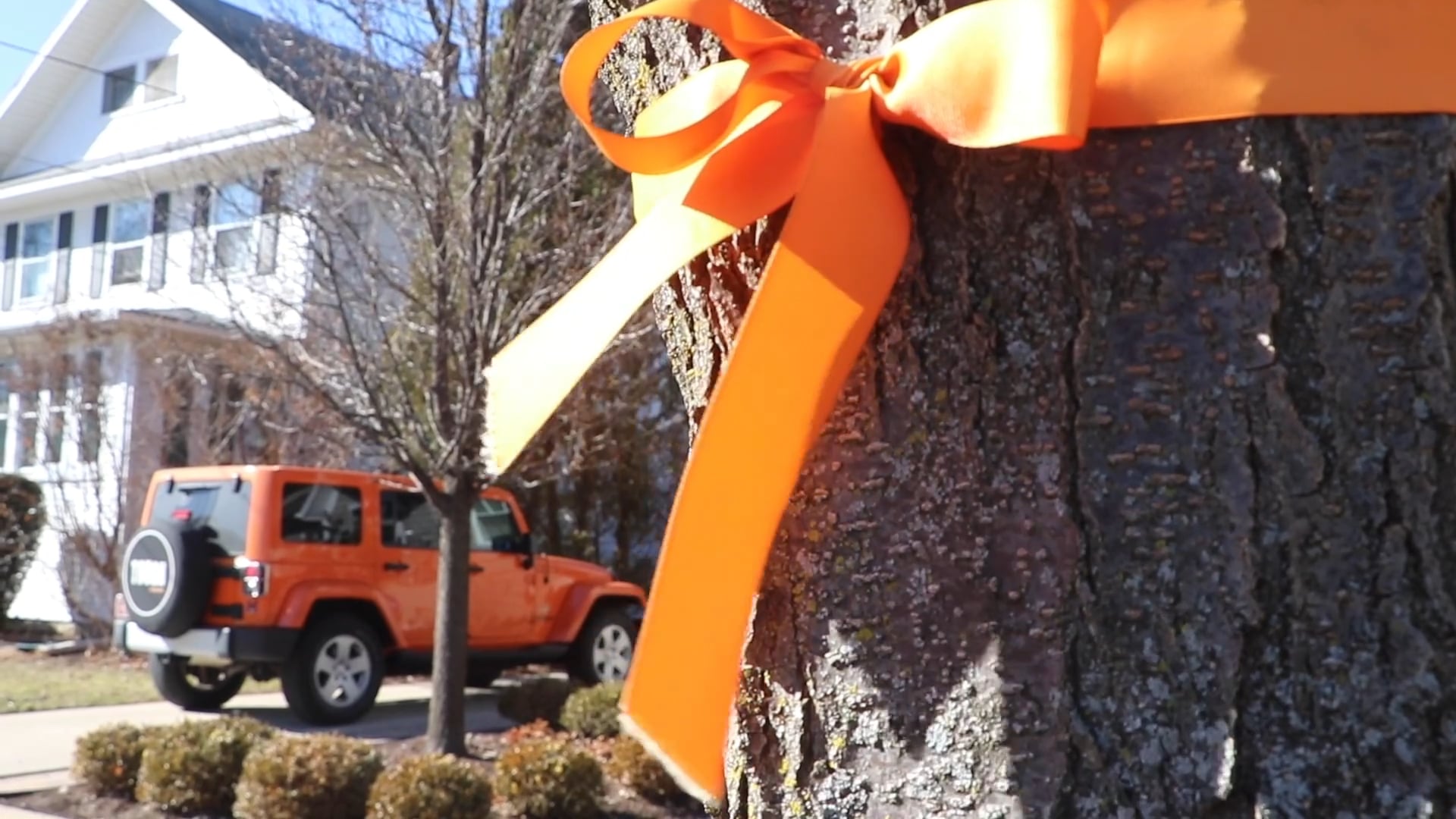 Ross K. MacNeill & The Orange Jeep