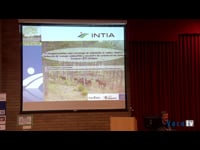 O silvopastoralismo como estratexia de adaptación ao cambio climático. Redución de biomasa combustible e secuestro de carbono nos solos
