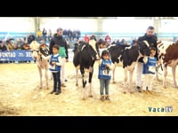 Niños hasta 9 años